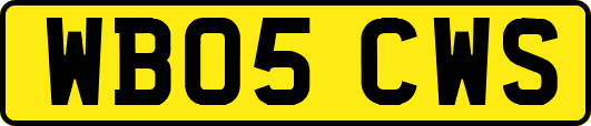 WB05CWS