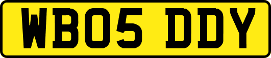 WB05DDY