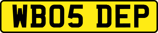 WB05DEP