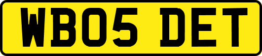 WB05DET