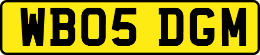 WB05DGM