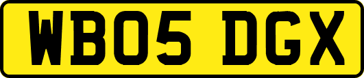 WB05DGX
