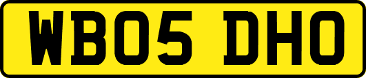 WB05DHO
