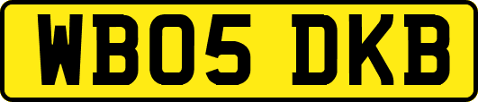 WB05DKB