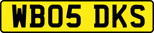 WB05DKS