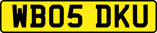 WB05DKU