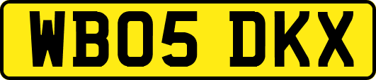 WB05DKX