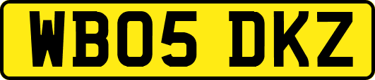 WB05DKZ