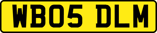 WB05DLM
