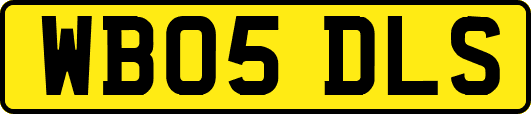WB05DLS