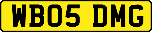 WB05DMG
