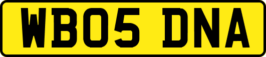 WB05DNA