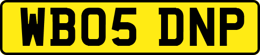 WB05DNP