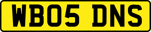 WB05DNS
