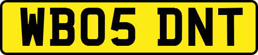 WB05DNT