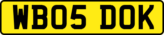 WB05DOK