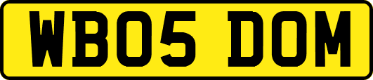 WB05DOM