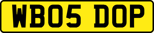 WB05DOP