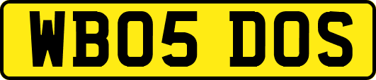 WB05DOS