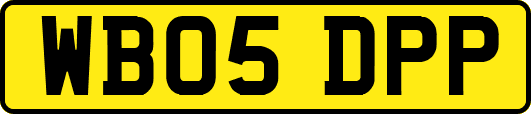 WB05DPP