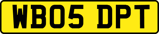 WB05DPT