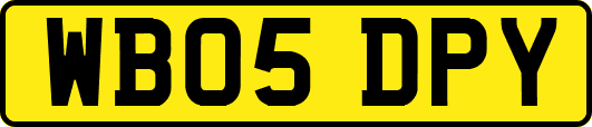 WB05DPY