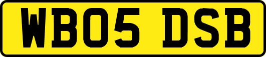 WB05DSB