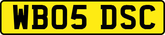 WB05DSC