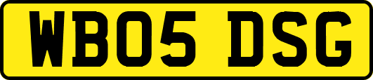WB05DSG
