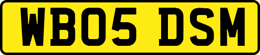 WB05DSM