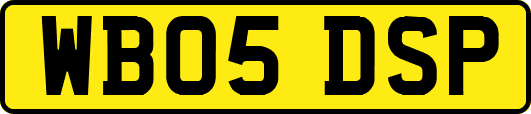 WB05DSP