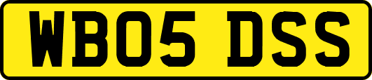 WB05DSS