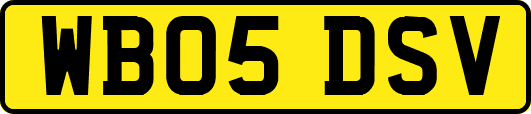 WB05DSV