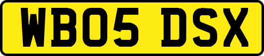 WB05DSX