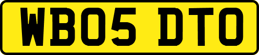 WB05DTO