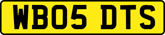 WB05DTS