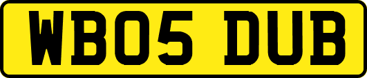 WB05DUB