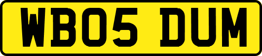 WB05DUM