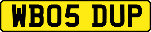 WB05DUP