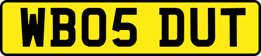 WB05DUT