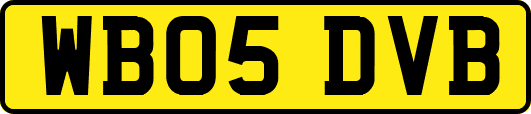 WB05DVB