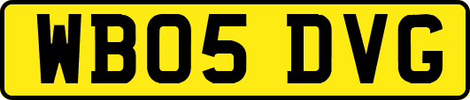 WB05DVG