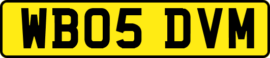 WB05DVM