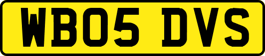 WB05DVS