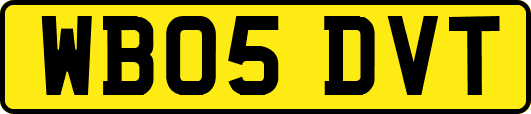WB05DVT