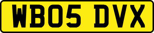 WB05DVX