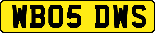 WB05DWS