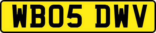 WB05DWV
