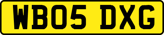 WB05DXG