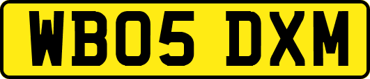 WB05DXM